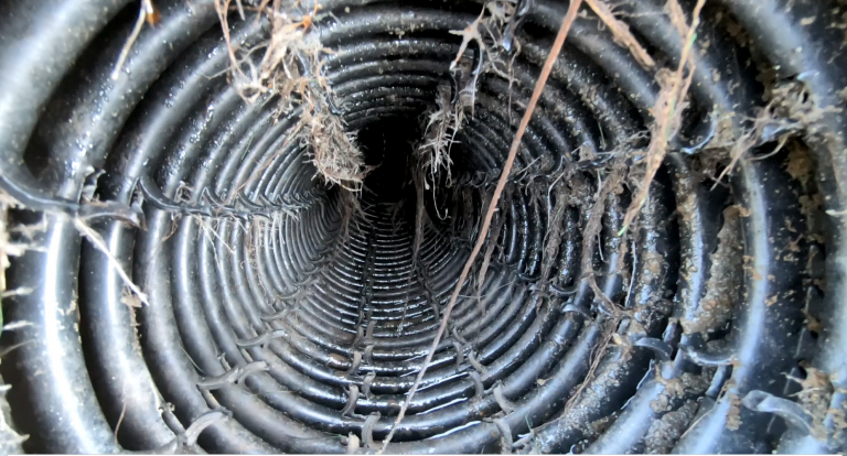 Read more about the article Les boues – DBO))Clic