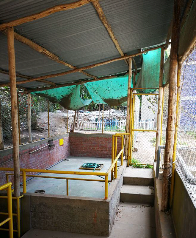 Read more about the article Integration Centre for Abandoned Children