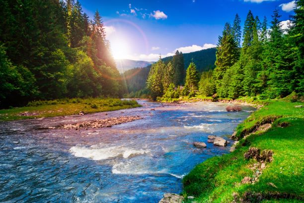 Read more about the article L’écoulement de l’eau à travers le sol – DBO))Clic