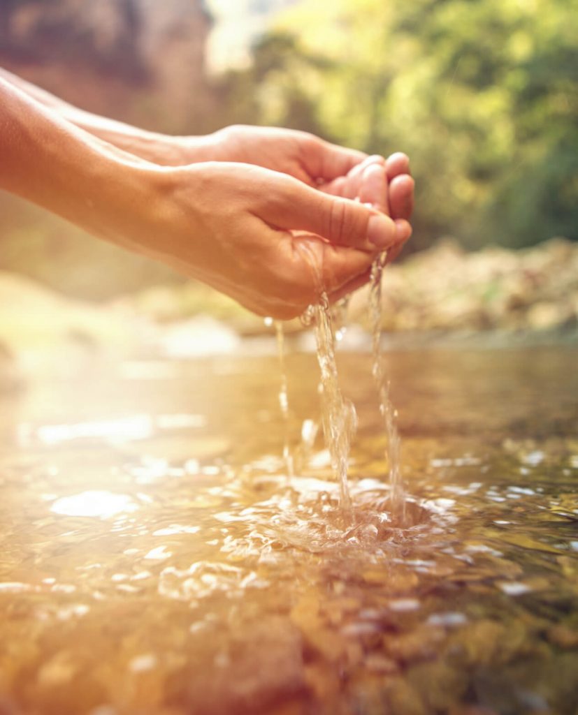 Traitement des Eaux Usées Commerciale et grand projet