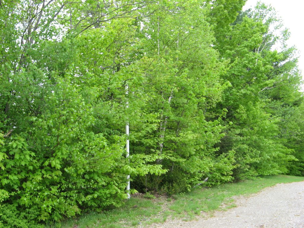 Installation septique pour un camping en bordure d'un lac au Québec - Étude de cas 3