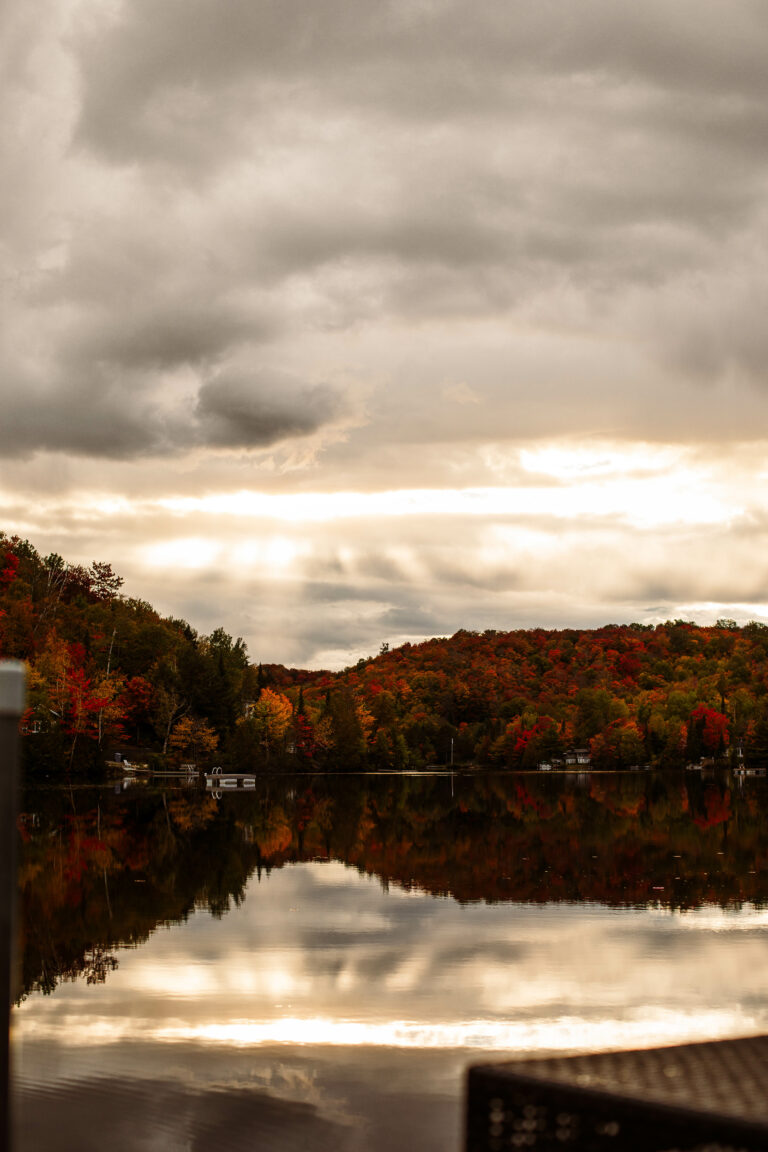 Nettoyez bien tout en préservant la performance de votre fosse septique! 4