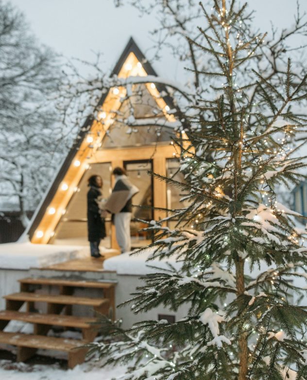 pexels-pavel-danilyuk-6550037